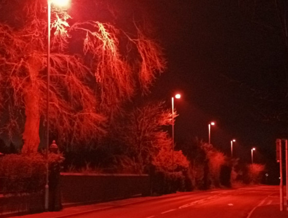 More bat lights for Worcestershire as LED streetlight plans rolled