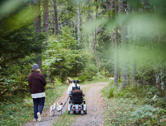 A person in sitting in a wheelchair walking through a park with a friend and a dog 