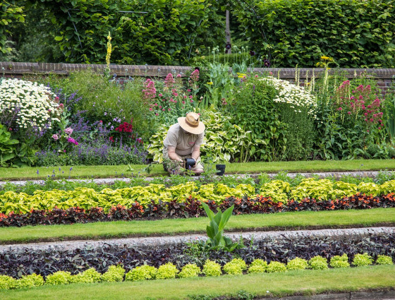 Image of a person gardening