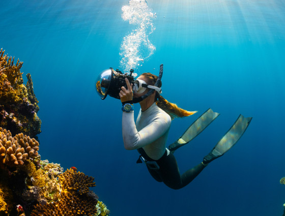 Image of a diver underwater taking photos of coral