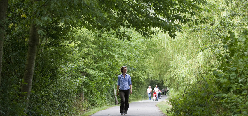 Walking in Arrow Vale Park Redditch